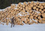 Logpile on the mountainside