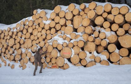 Logpile on the mountainside