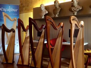 Part of Camac Italia's exhibition as part of the Bologna Celtic Harp Festival 2016