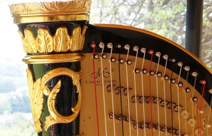 Académie Camac harp crop
