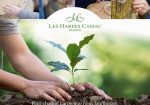 One Tree Planted