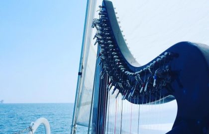 Blue harp on board ship