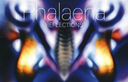 Phalaena