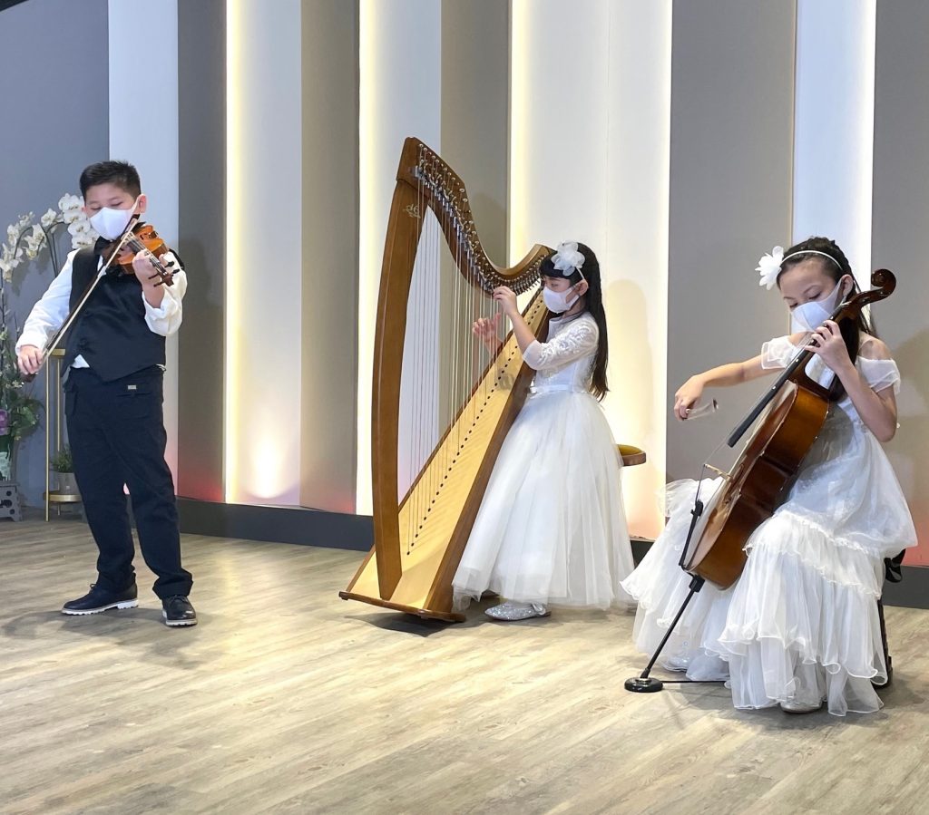 Rave Harps International Prestige Awards