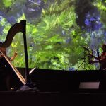 Une harpe bleue au congrès mondial de la nature
