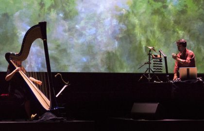 Une harpe bleue au congrès mondial de la nature