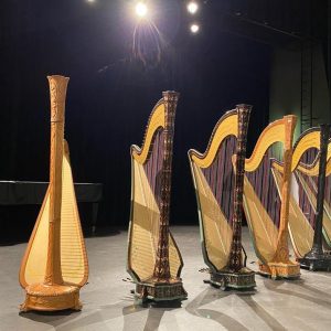 Harps at the Godefroid competition