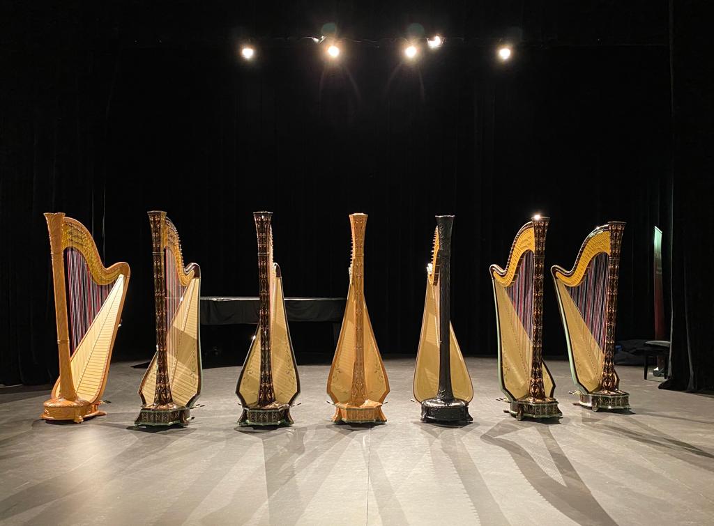 Harps at the Godefroid competition 