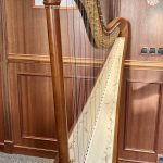 Dragonfly harp