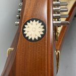 Dragonfly harp