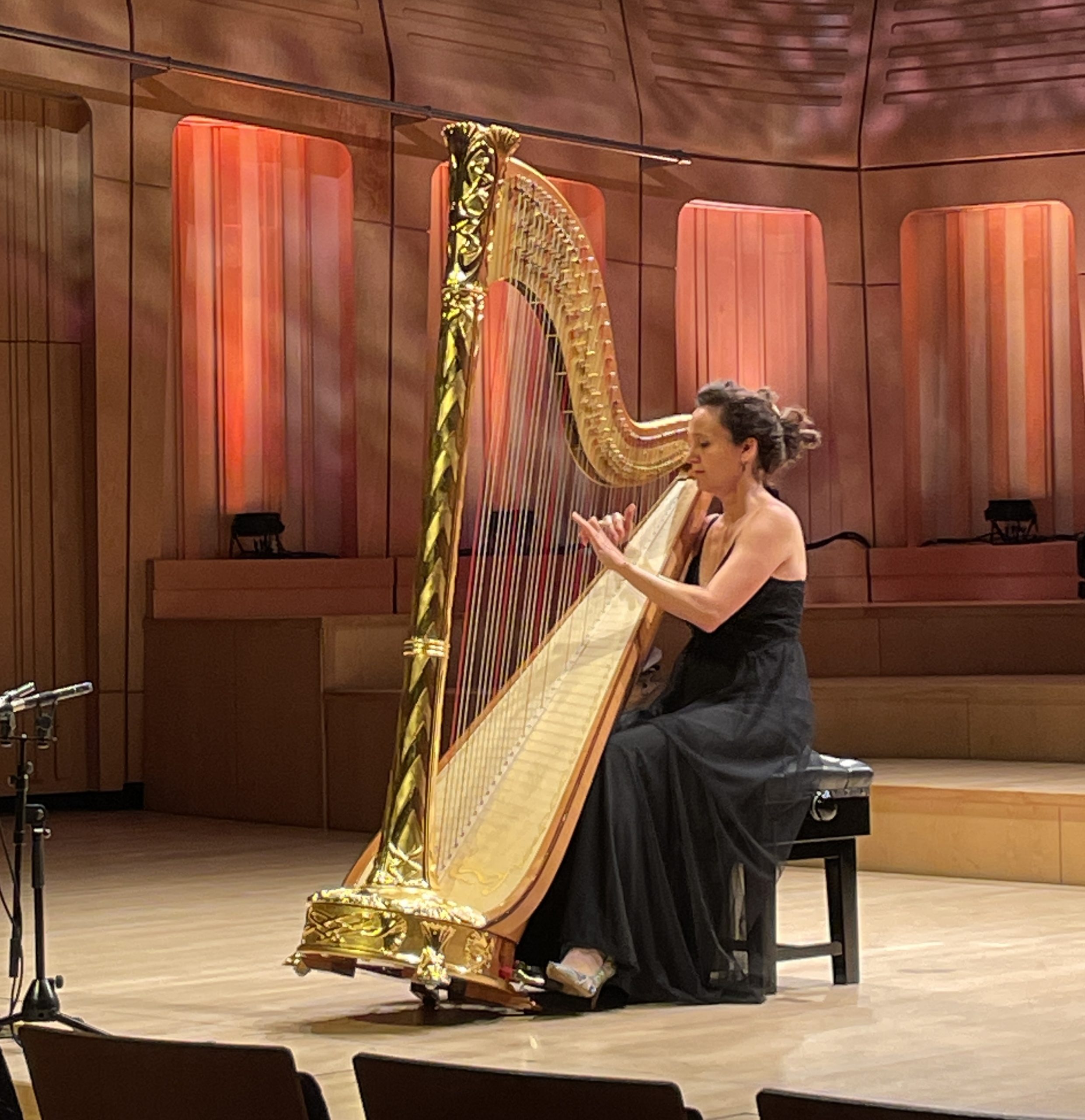 World harp new arrivals