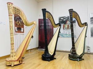 Harps at Szeged 2022