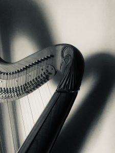 Concours Français de la   harpe 2024, photo: Fiona HOSFORD
