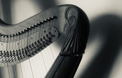 Concours Français de la harpe 2024, photo: Fiona HOSFORD