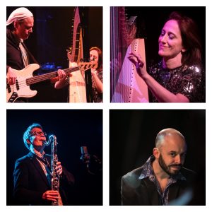 MAXIMA POESIA: Julien Dupont- Armstrong (bass and vocals); Anne Mispelter (harps); Gabriel Westphal (percussion); Nicholas Fargeix (clarinets) ©Malik Chaib