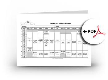 Lever string chart