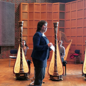 Petra van der Heide in the Tonhalle Düsseldorf / Vielsaitig auf Tour