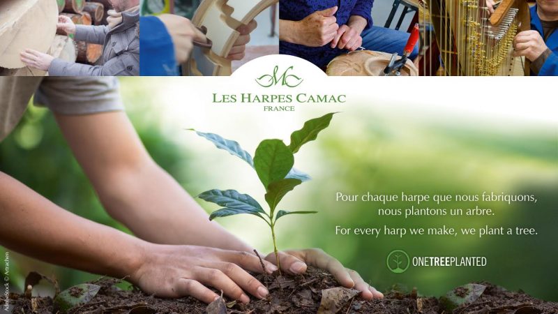 One Tree Planted