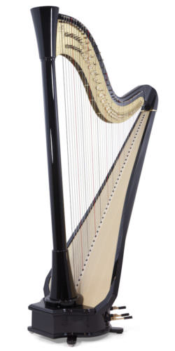 Clio Extended, ebony finish, plain soundboard