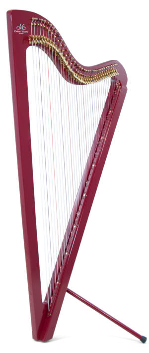 Electro Paraguayan Harp