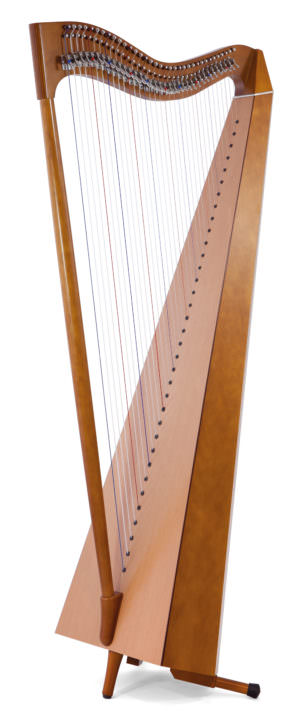 EC Llanera 35