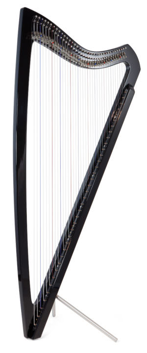 Electro Llanera 37