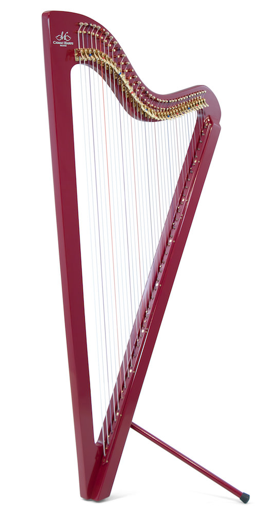 Electro Paraguayan Electric Paraguayan Harp Camac Harps