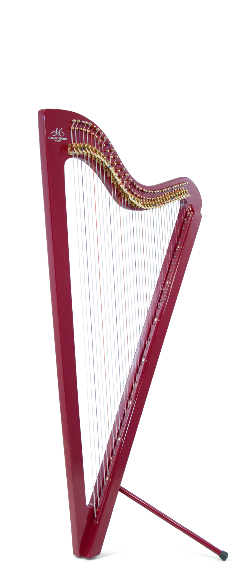 Electro Paraguayan Harp